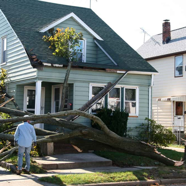 Insurance & Property Damage